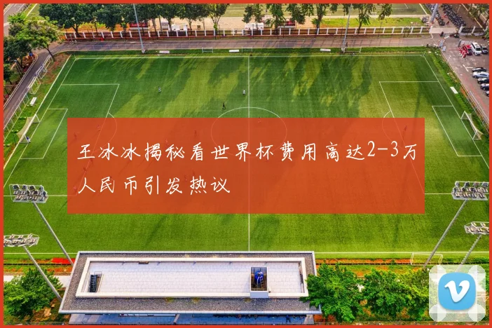 王冰冰揭秘看世界杯费用高达2-3万人民币引发热议