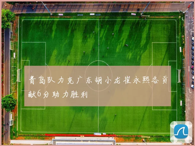 青岛队力克广东胡小龙崔永熙各贡献6分助力胜利